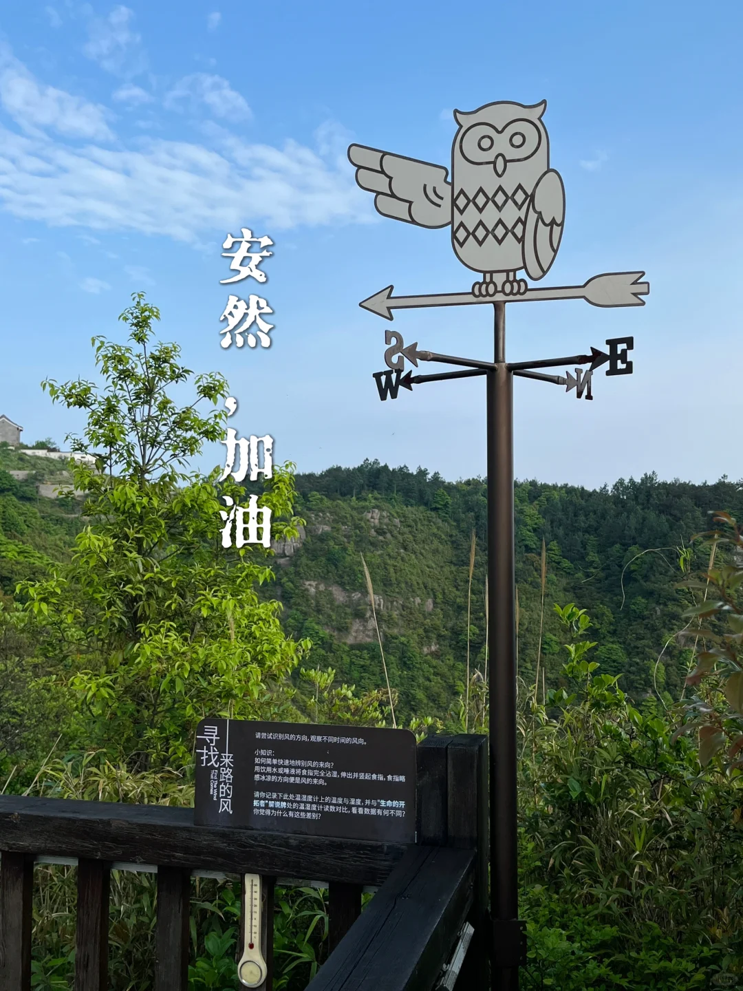 欢迎约稿｜感恩带来的首份稿费