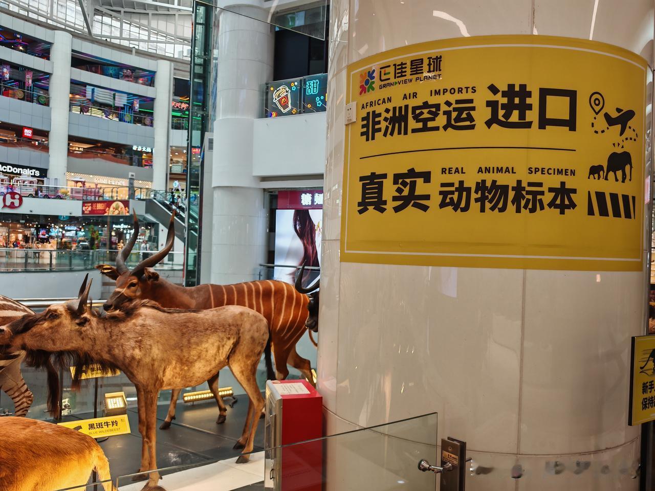 年轻时对于手机新品的追捧，真的不亚于足球追星，基本隔三岔五就要换手机玩玩。如今半