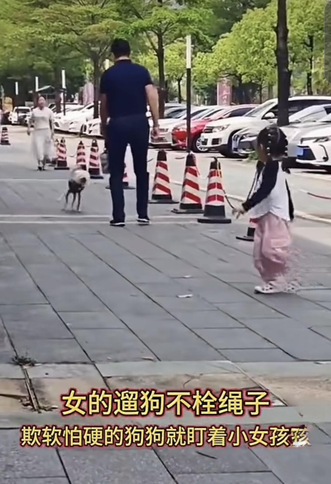 要是小女孩没有大人护着，必被狗咬！
狗虽小，但在如此没有约束的状态下，对少年儿童
