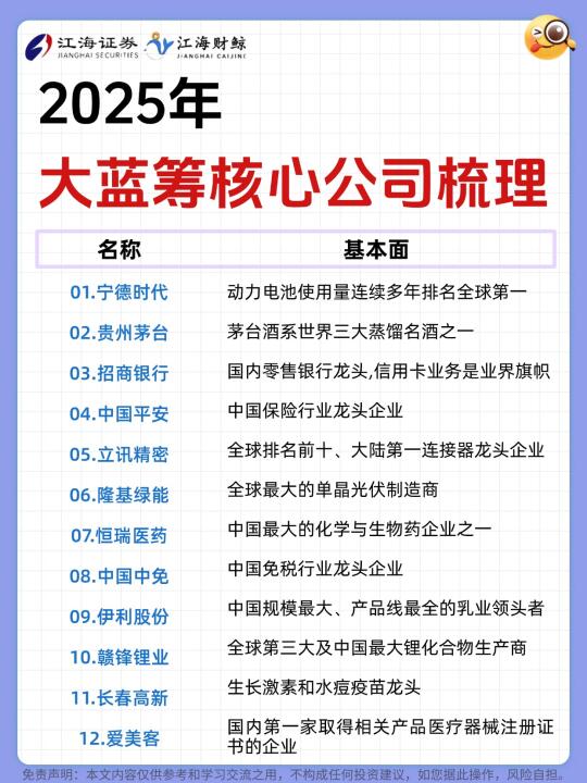 🔥2025大蓝筹核心公司梳理
