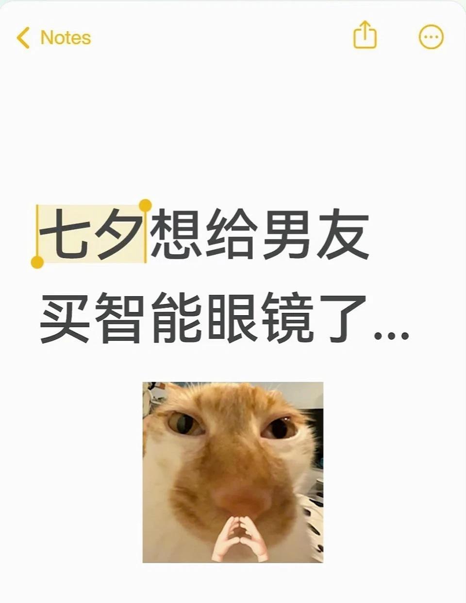 智能眼镜是花架子还是真靠谱？
说下我男友的情况：上班就跟打仗似的，破事一堆。上次
