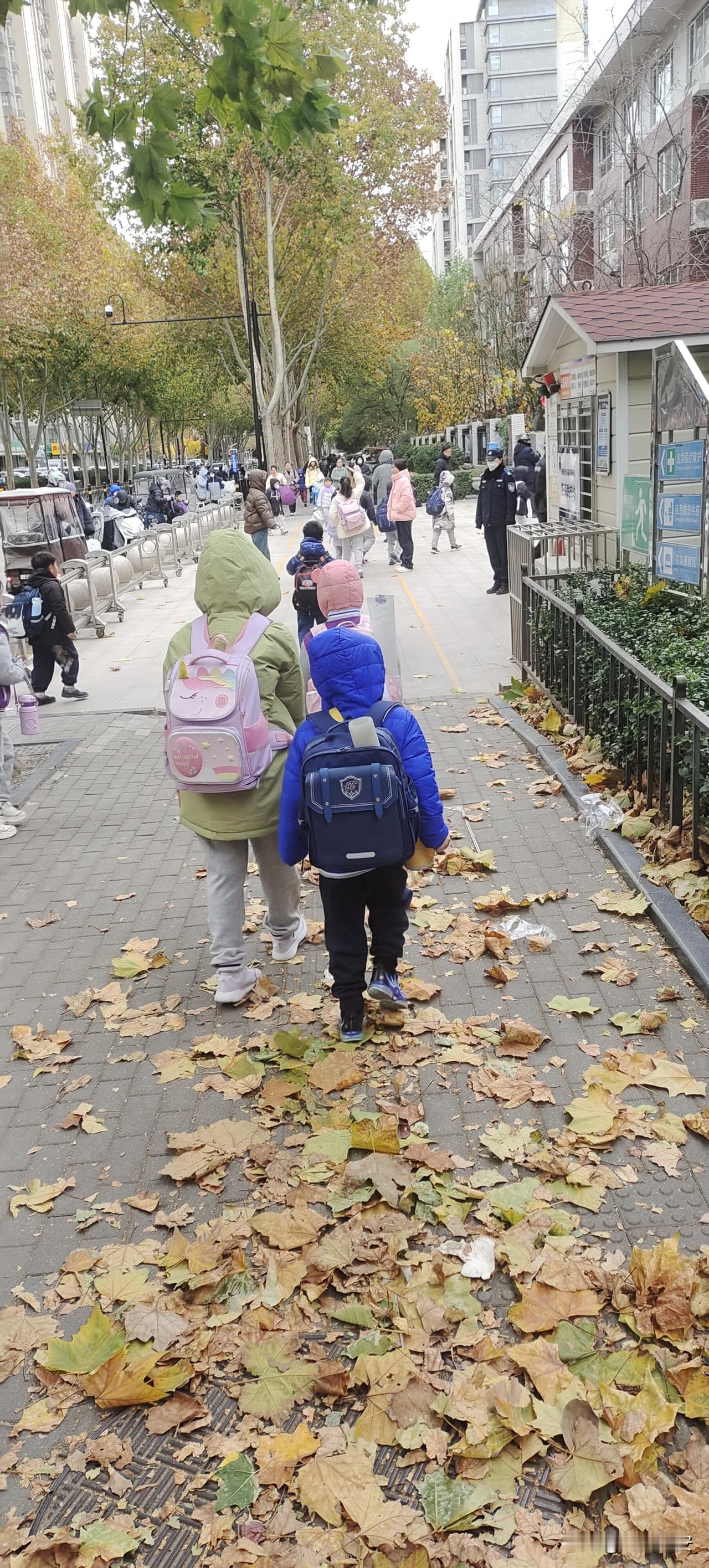 我就是这落叶一片，铺在你的脚下，度过寒冬，迎接春光！