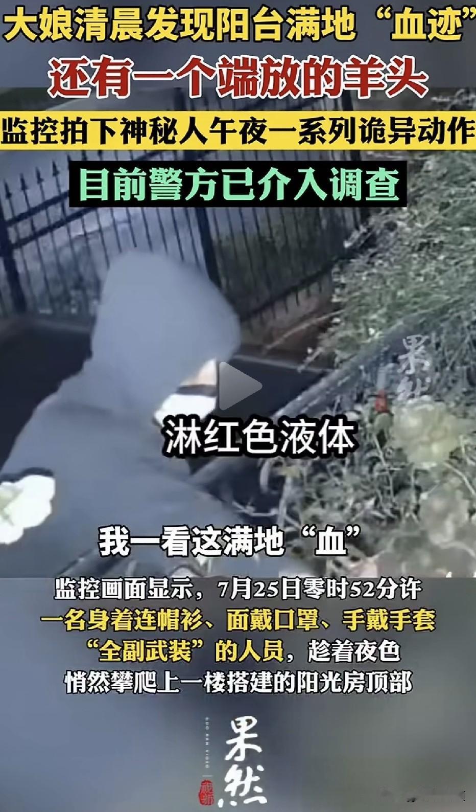 “这就是‘用羊头泄愤’的代价！” 81岁大娘清晨起床去阳台透气，眼前一幕让她瞬间