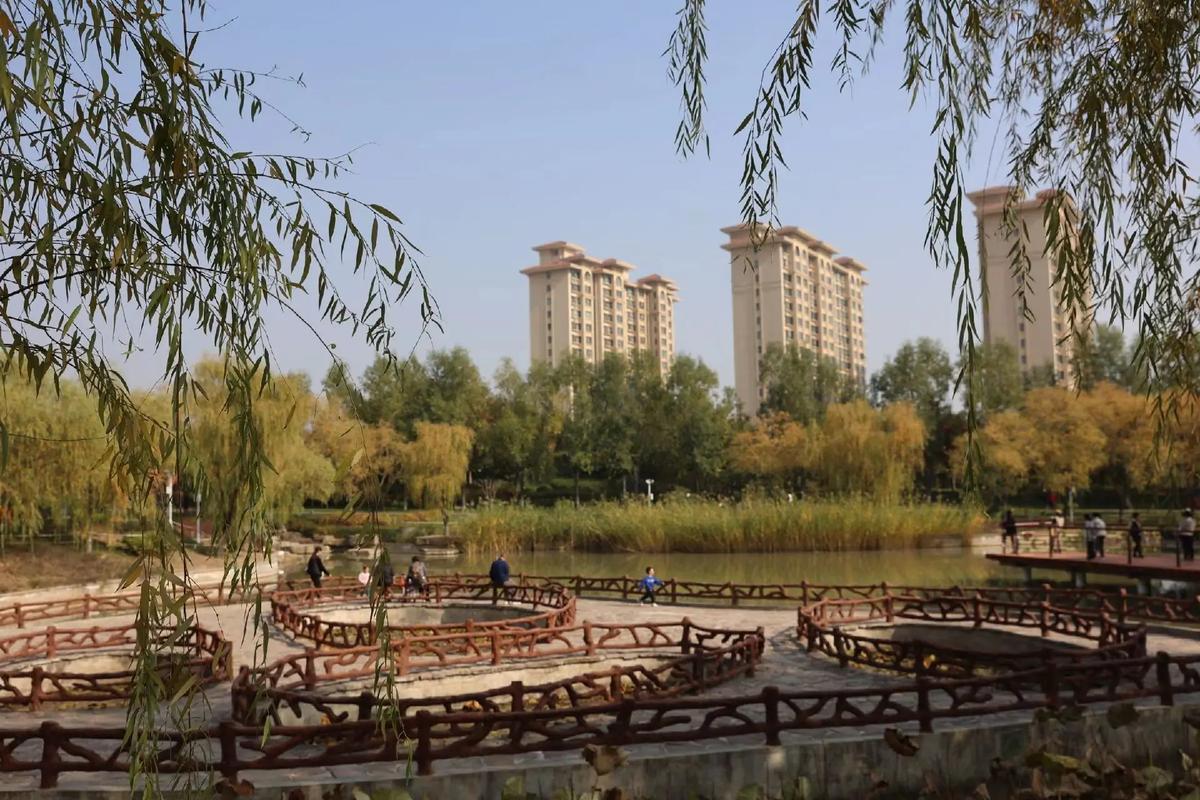 秋阳正好，风拂柳丝，湖光映着楼影，慢下来的时光，最是治愈人心。