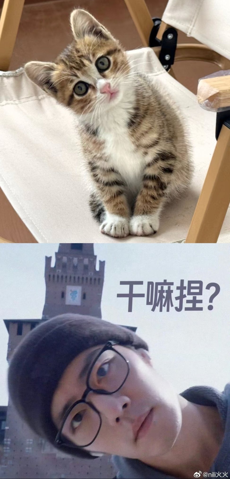 突击调查！你为什么还醒着？ 