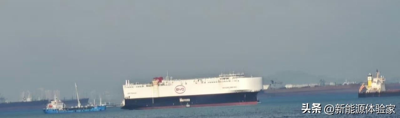 🚢💨比亚迪舰队出征霍尔木兹！中国新能源的船，开向世界！
 
有海员在霍尔木兹
