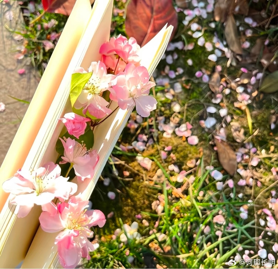 善良是一种力量，每日一善，能让我们在生活的琐碎中找到希望，找到勇气。无论面对何种