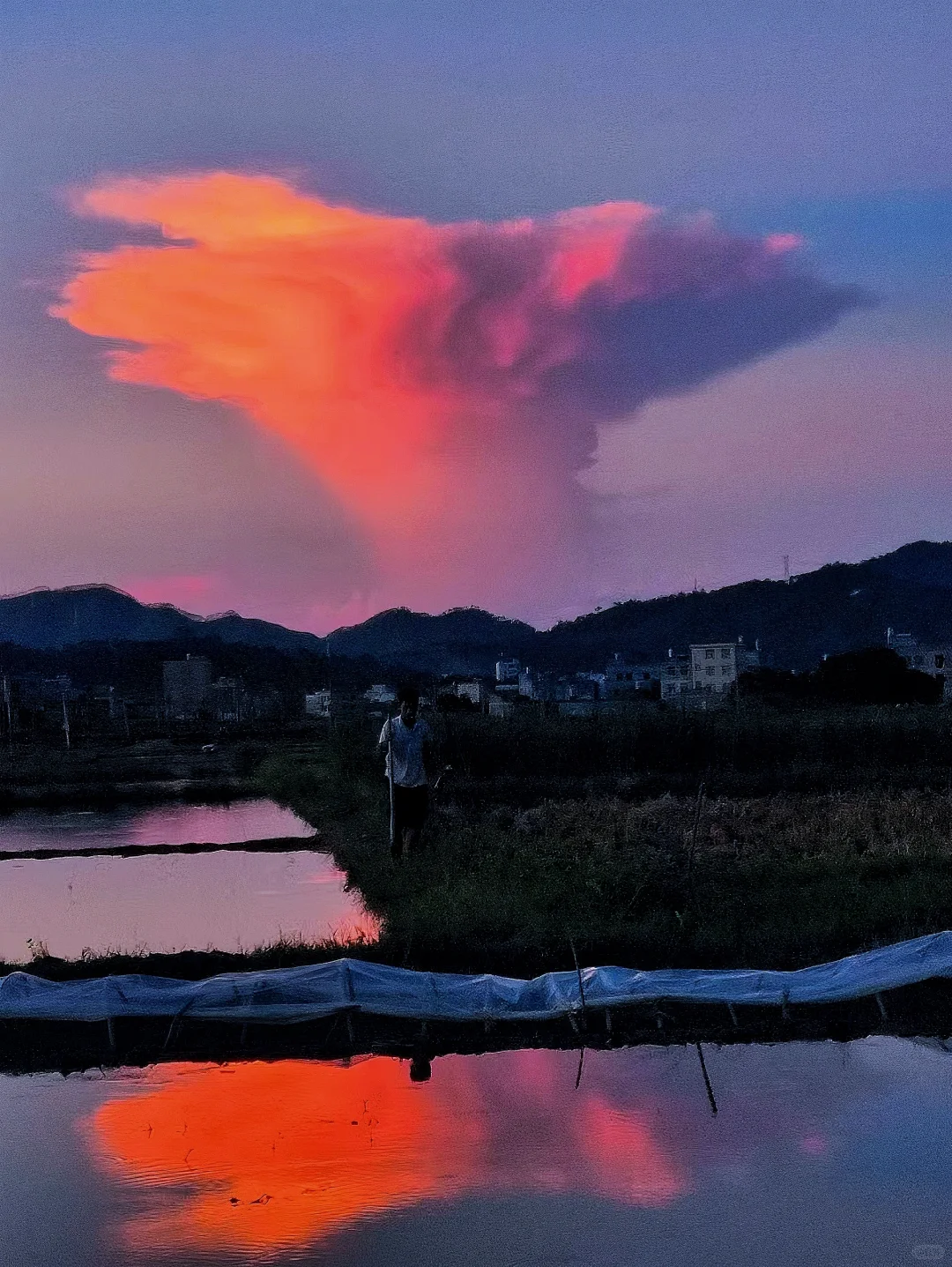 想要一个全是☁️夕阳的评论区