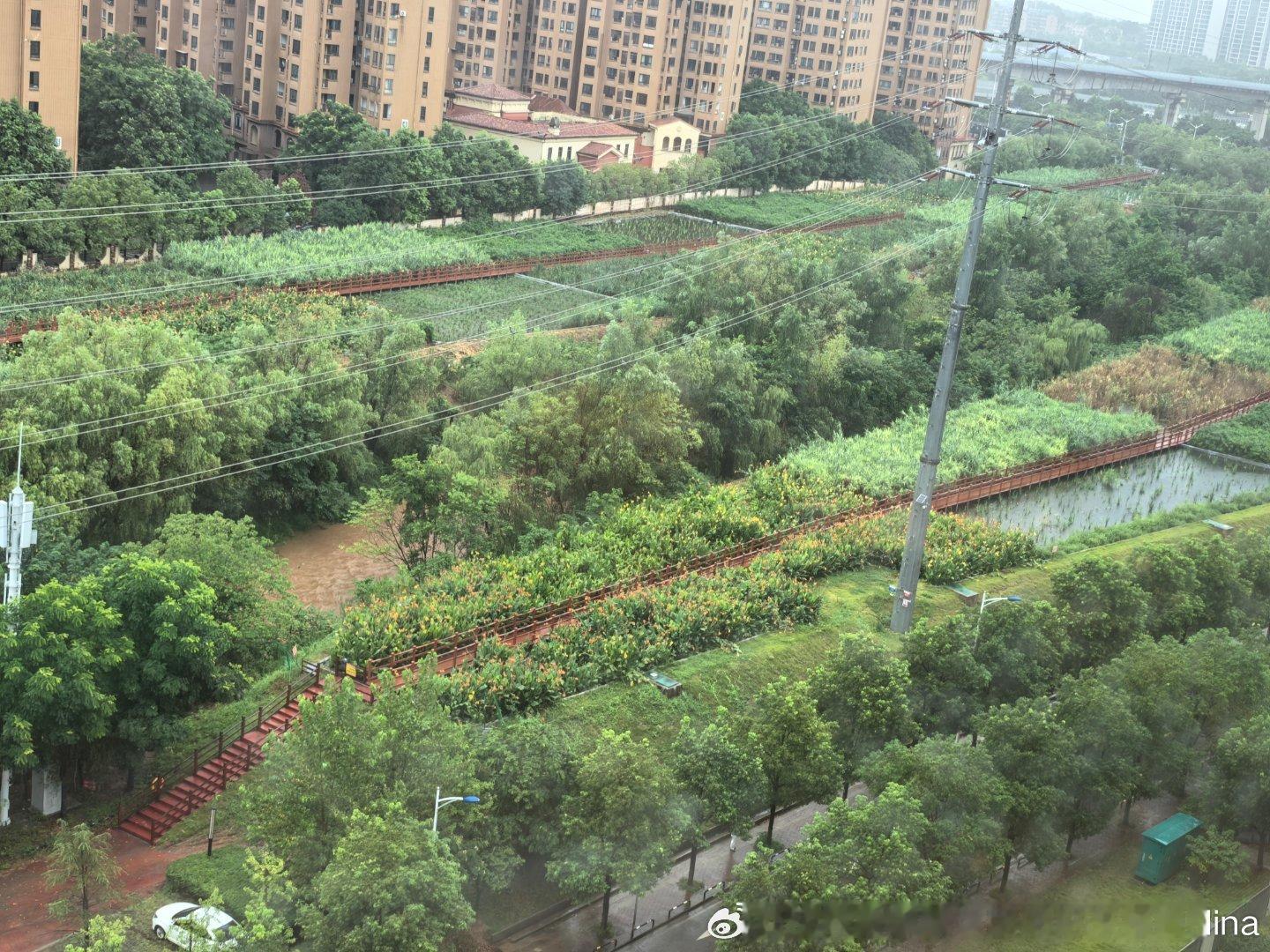 下雨啦
