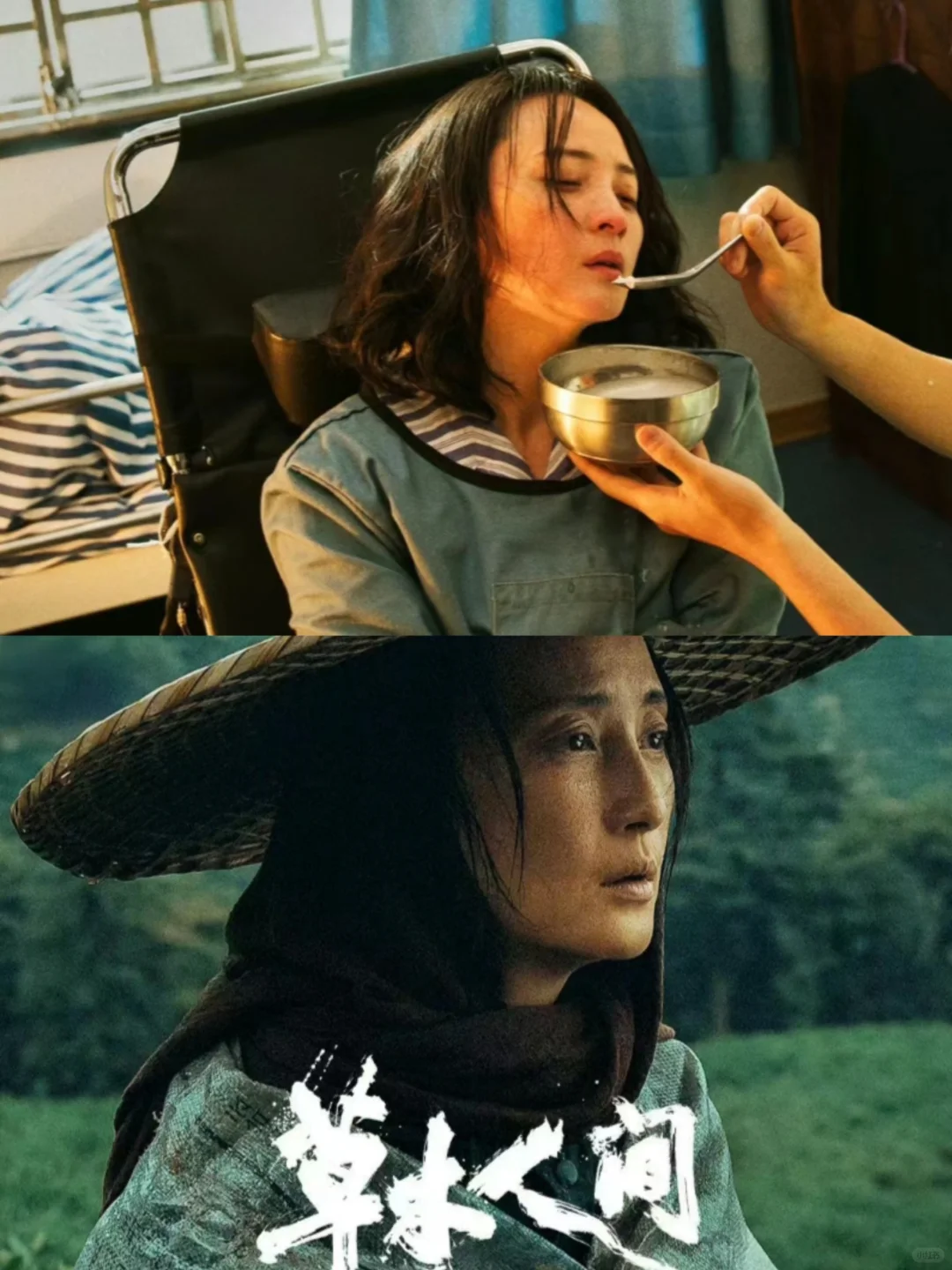 关于吴苔花的两个隐喻，你都看懂了吗？