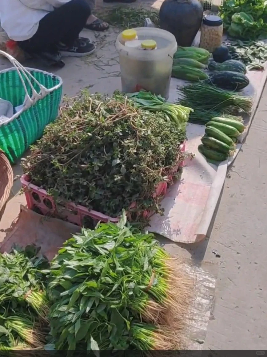 最治愈人心的地方，原来是菜市场