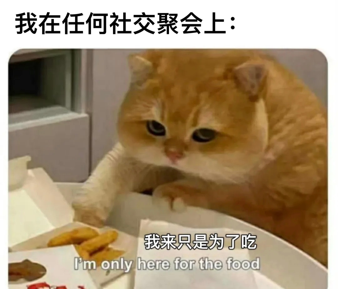 猫，人很想你¯꒳¯猫meme