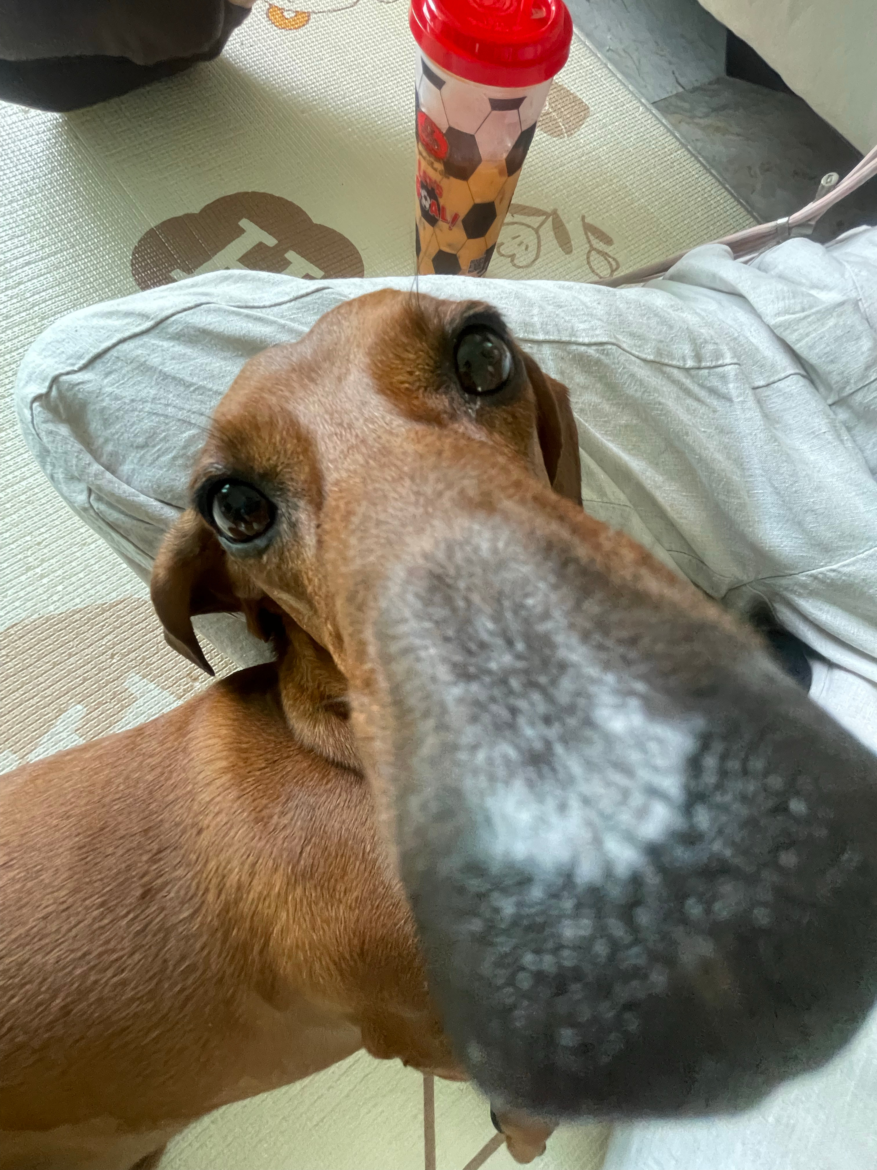 嘴筒子戳戳时间👄😘 