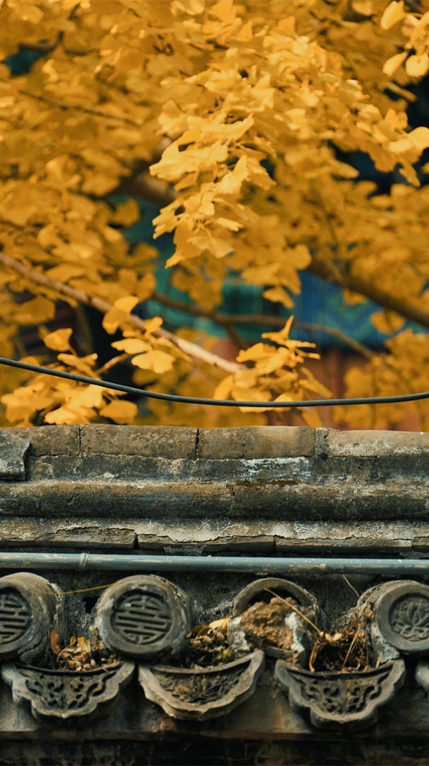 为人处世最好的办法就是，既把一切世俗都看顺，又不与人同流合污。 