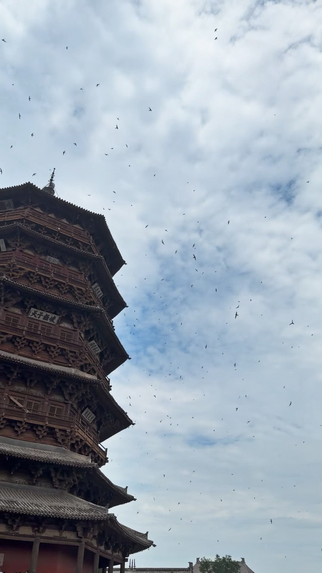 喜欢 