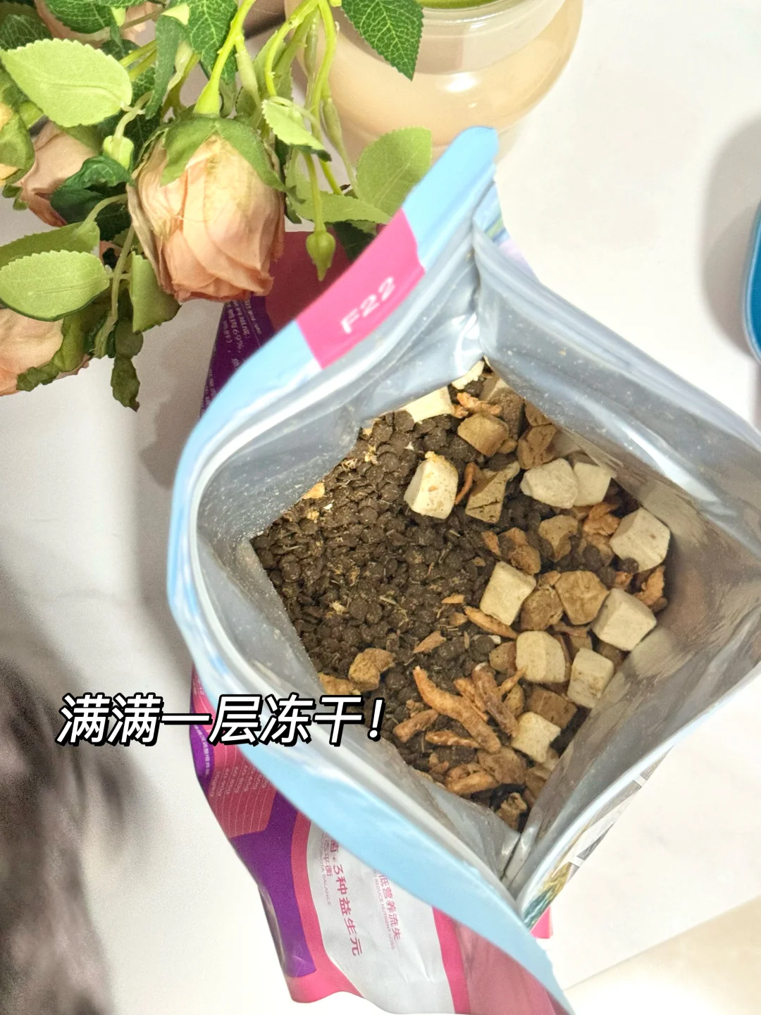 养只健康猫猫🐱是什么体验