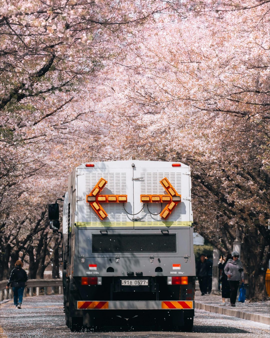 最好的春天当然要和最爱的人一起去看花～#适合春天做的美好小事# ​​​