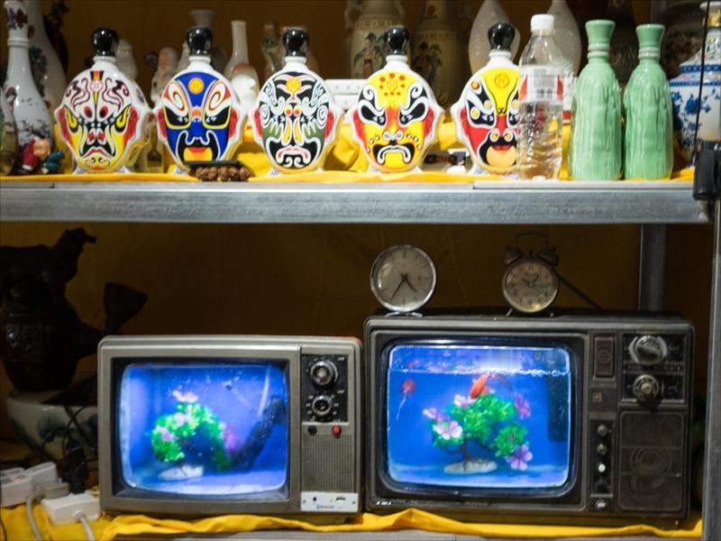 我看过黑白电视，那可是童年最珍贵的回忆。邻居家有台黑白电视，晚上会搬到院子里，左