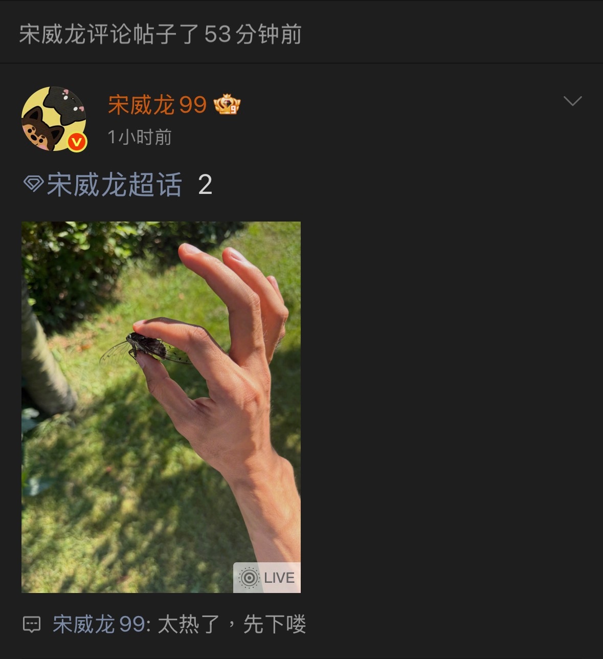 留存宋威龙2026微博Part 12（截至7/31）宋威龙徒手抓知了