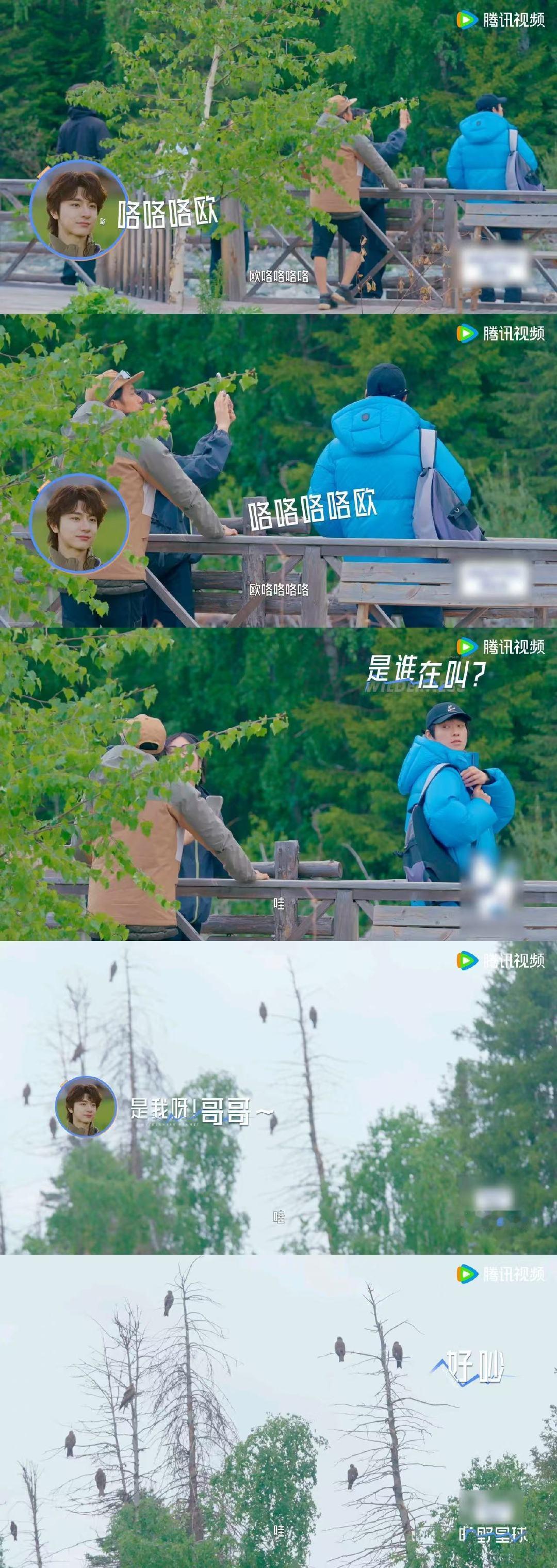 林一的嘴里是藏了一整个动物园吗 旷野星球怀疑林一偷偷报了动物叫声速成班！在阿勒泰