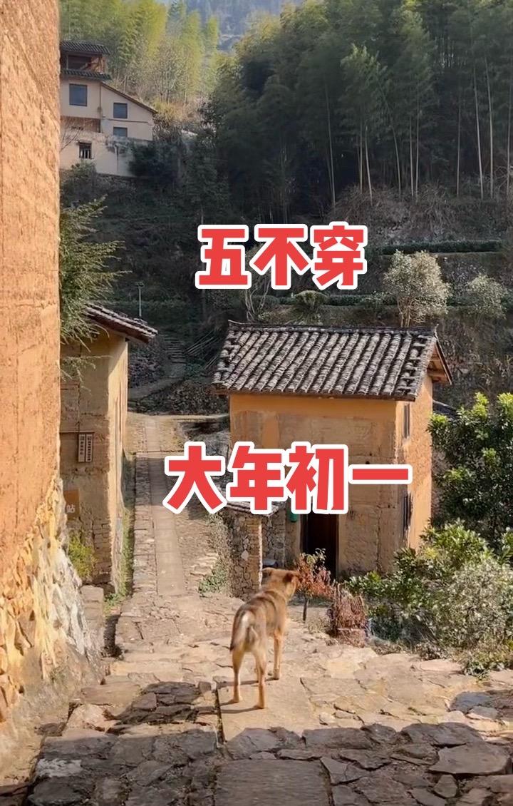 这就是农村的生活 大山里的原生态 为建设者鼓掌为辛苦的工人点赞 这就是...