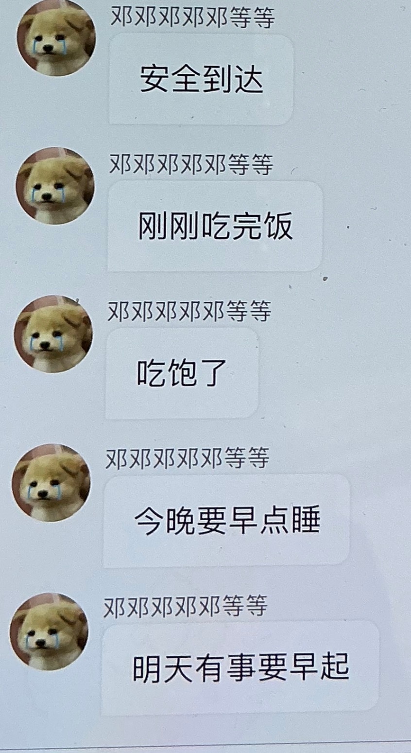 报备型猫咪 