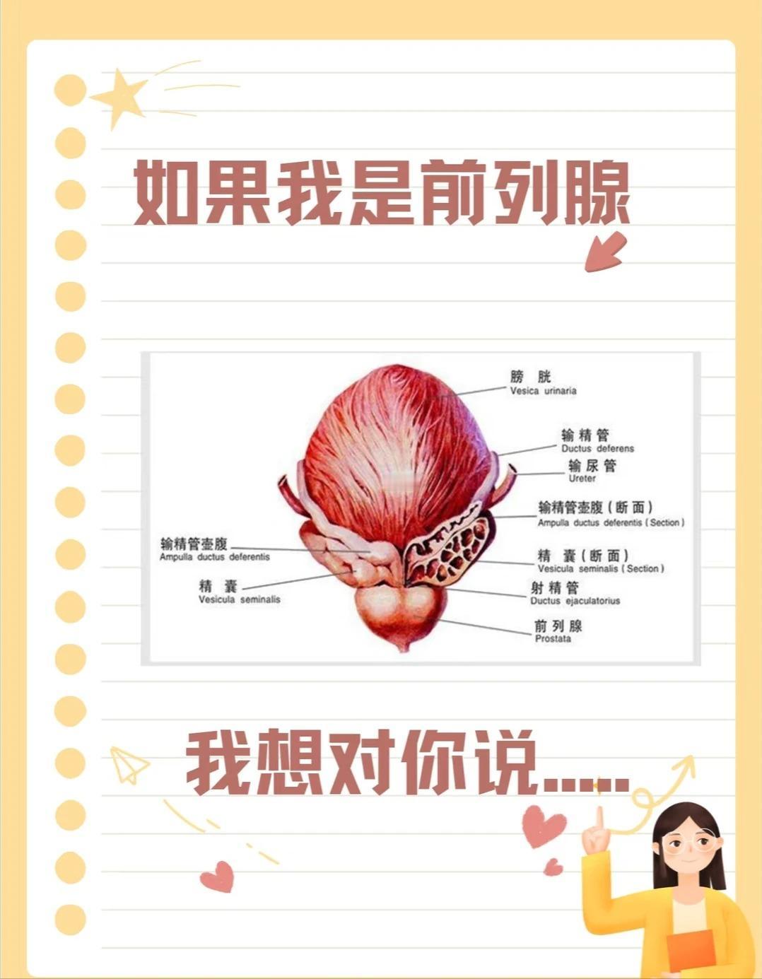 前列腺想对你说的话