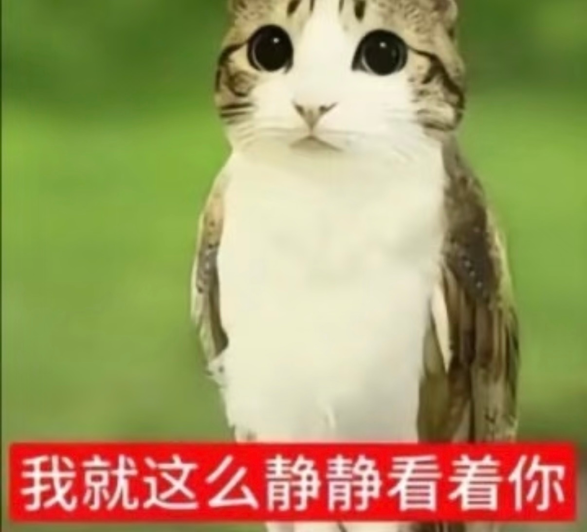 命运高抬贵手，原来是要扇我巴掌。 