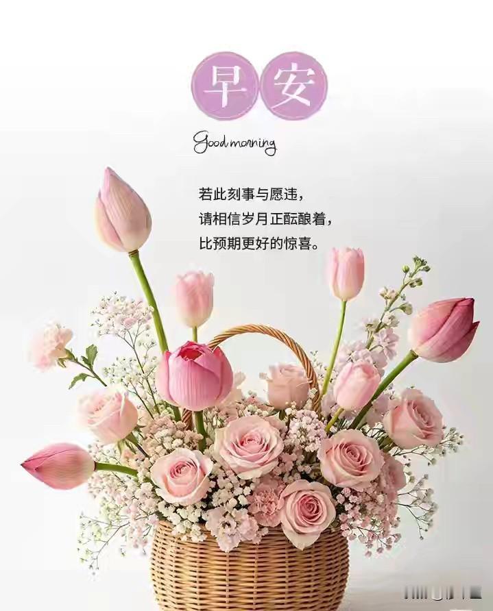去靠近那些真心想要你好的人，
人生三万天，
舒心一天是一天。
不要勉强自己，
在