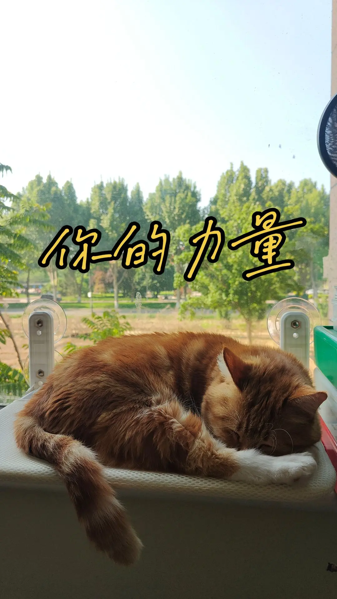 别忘了自己的力量。没有人可以夺走我内心的平静 除非我自己愿意拱手相让 ...