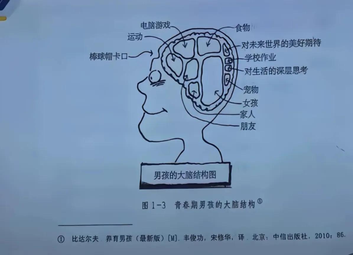 儿子的家长会上，老师发了这个图片，说男孩子脑中装了很多东西，而留给家庭的很少，希