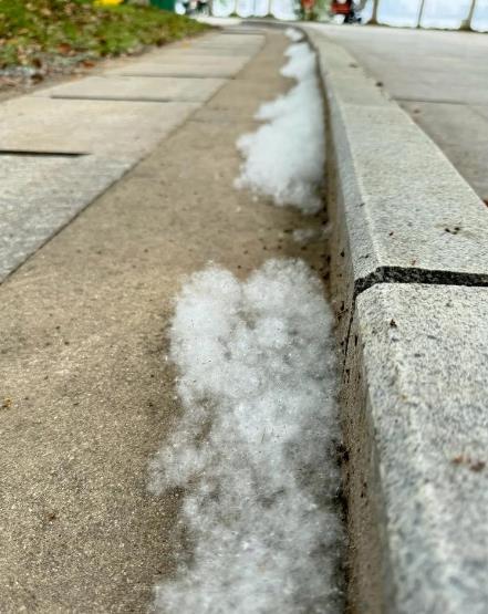 又到了柳絮飞飞的季节了，每年到这个季节漫天的柳絮飘落在道路两旁，总会有人喜欢用火