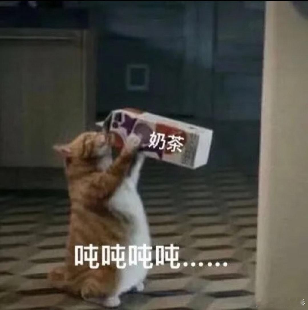 北京大学生为了奶茶有多努力 北京的大学生们为了奶茶，真是努力到不行！寒冷的天气也