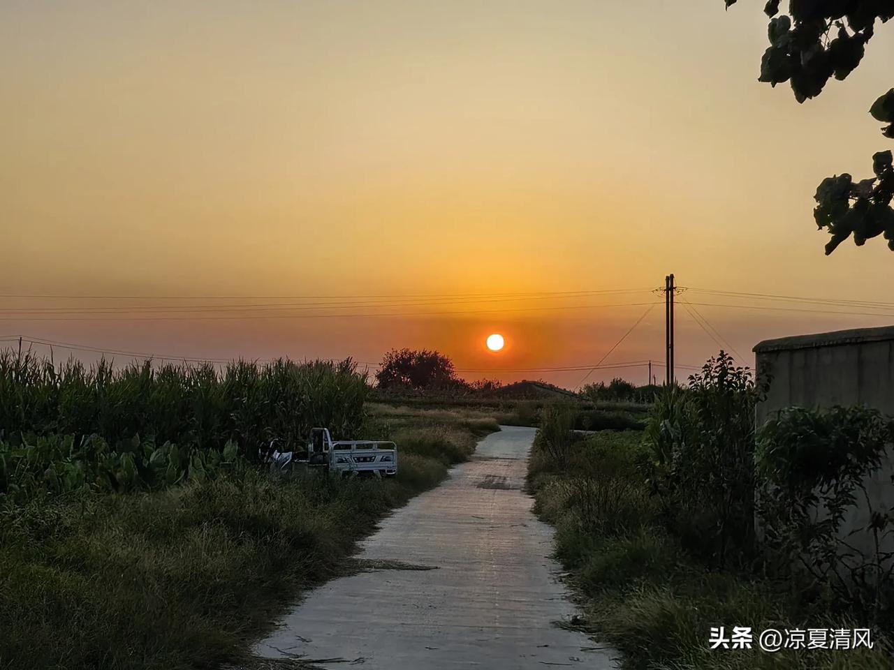 乡间小路，在落日余晖里伸向远方。