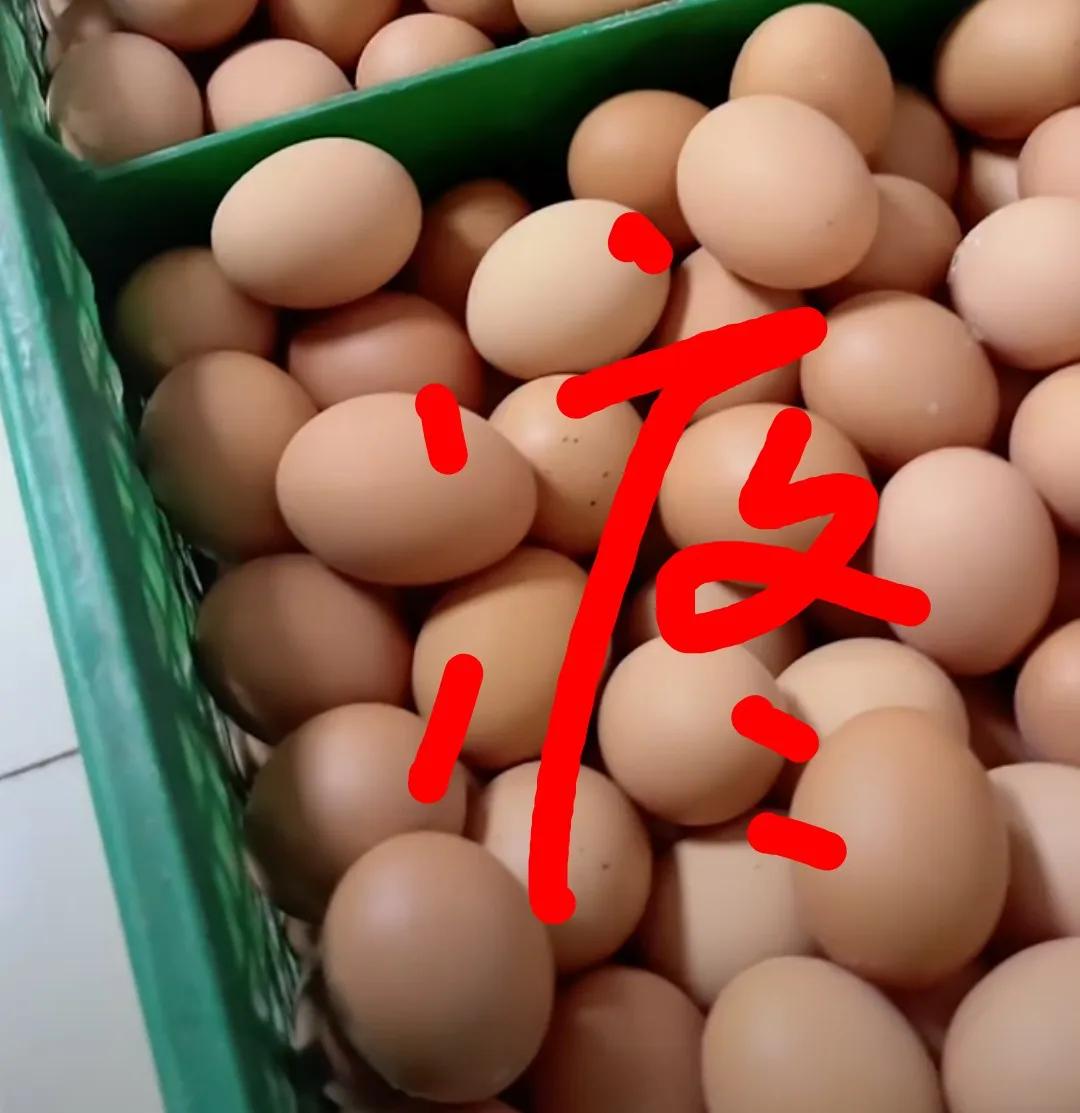 我以前的公司
算上老板跟老板娘总共才6个人
可每天早上例会
都得读一遍当天的头版