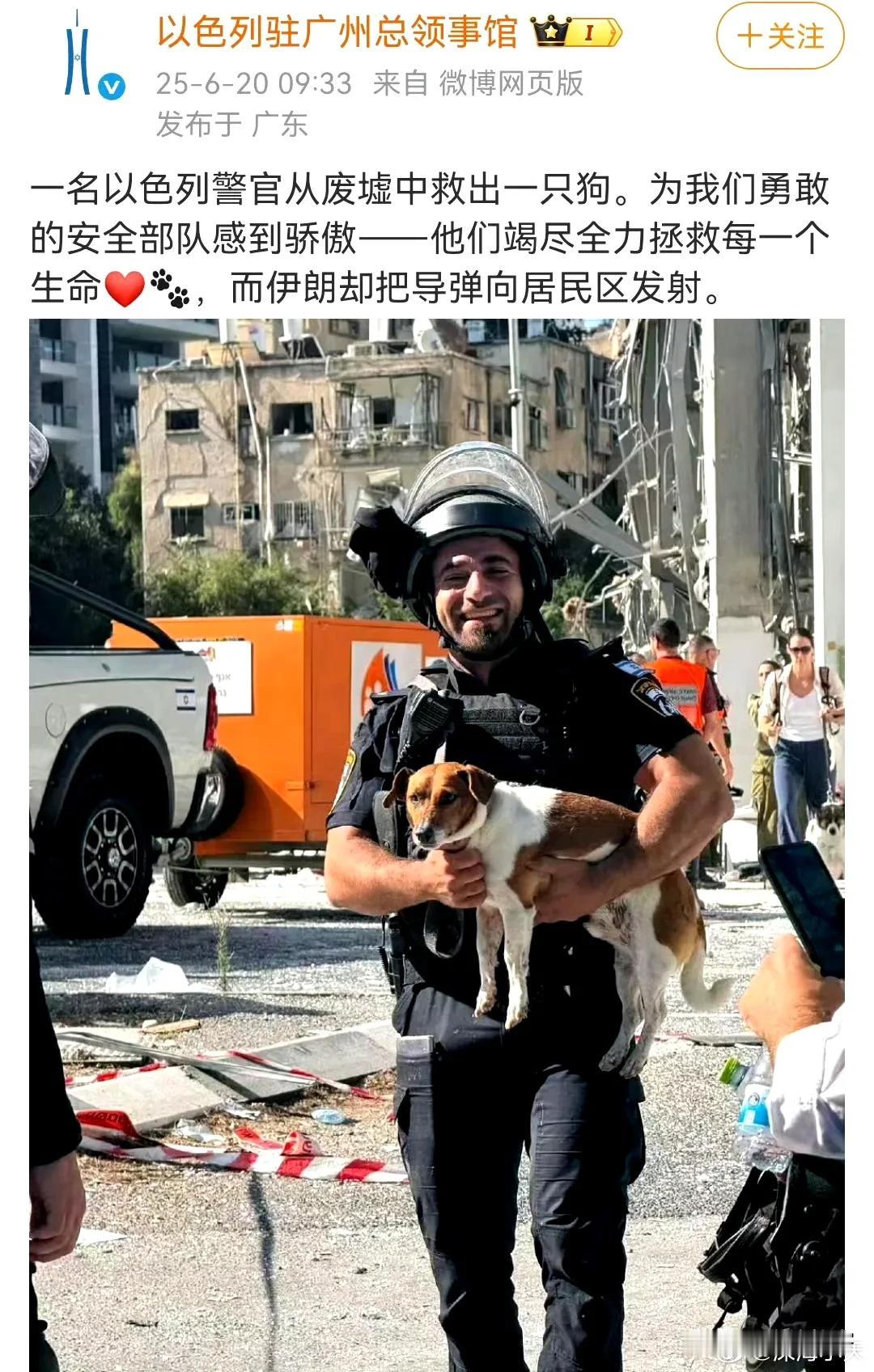 以色列军警不去救以色列人，不去减少屠杀加沙人民，却去救一条狗！

难道说，以色列