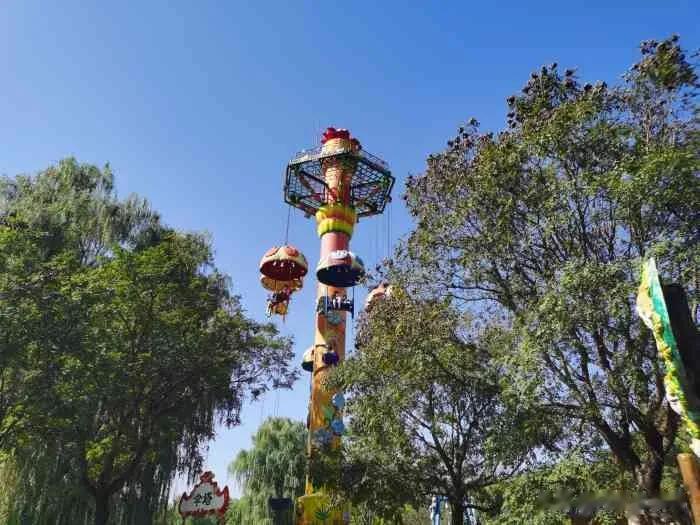  
北京赏秋，朝阳公园非它莫属了！
朝阳公园真是宝藏公园！野餐、散步、运动、游乐