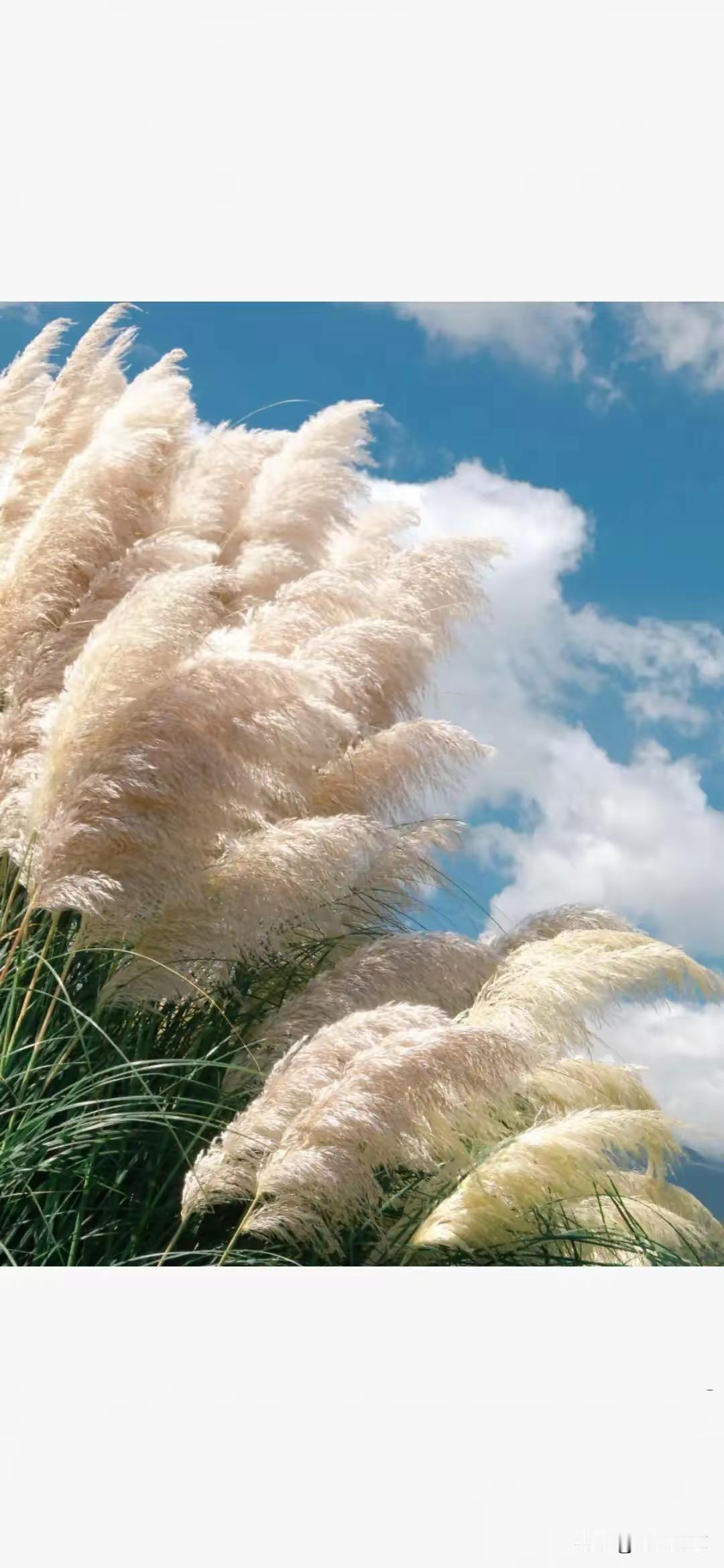 男人的健康与欲望的平衡：一次不能忽视的提醒

 很多年轻人对于“欲望”和“健康”