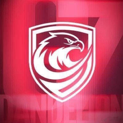 新队徽的寓意应该就是宣推视频里这句话了：一盾护南粤，一翼冲云霄！队徽是🛡️结构