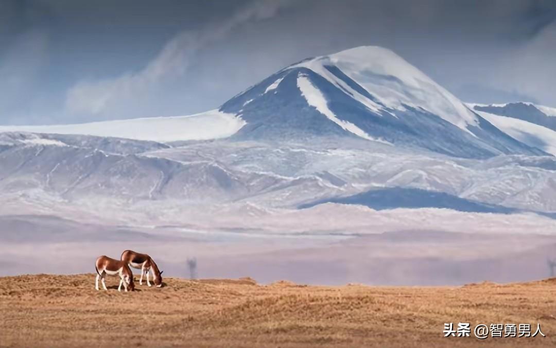 万般全在命，半点不由人。滚滚红尘，命运主宰着一切；茫茫人海，天意掌控着所有。一个