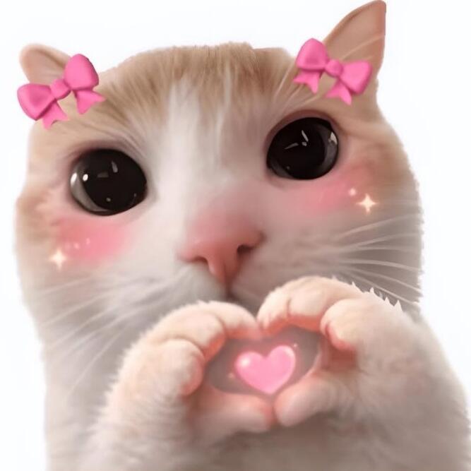 猫meme无字表情包抽象  | 搞笑  | 可爱 