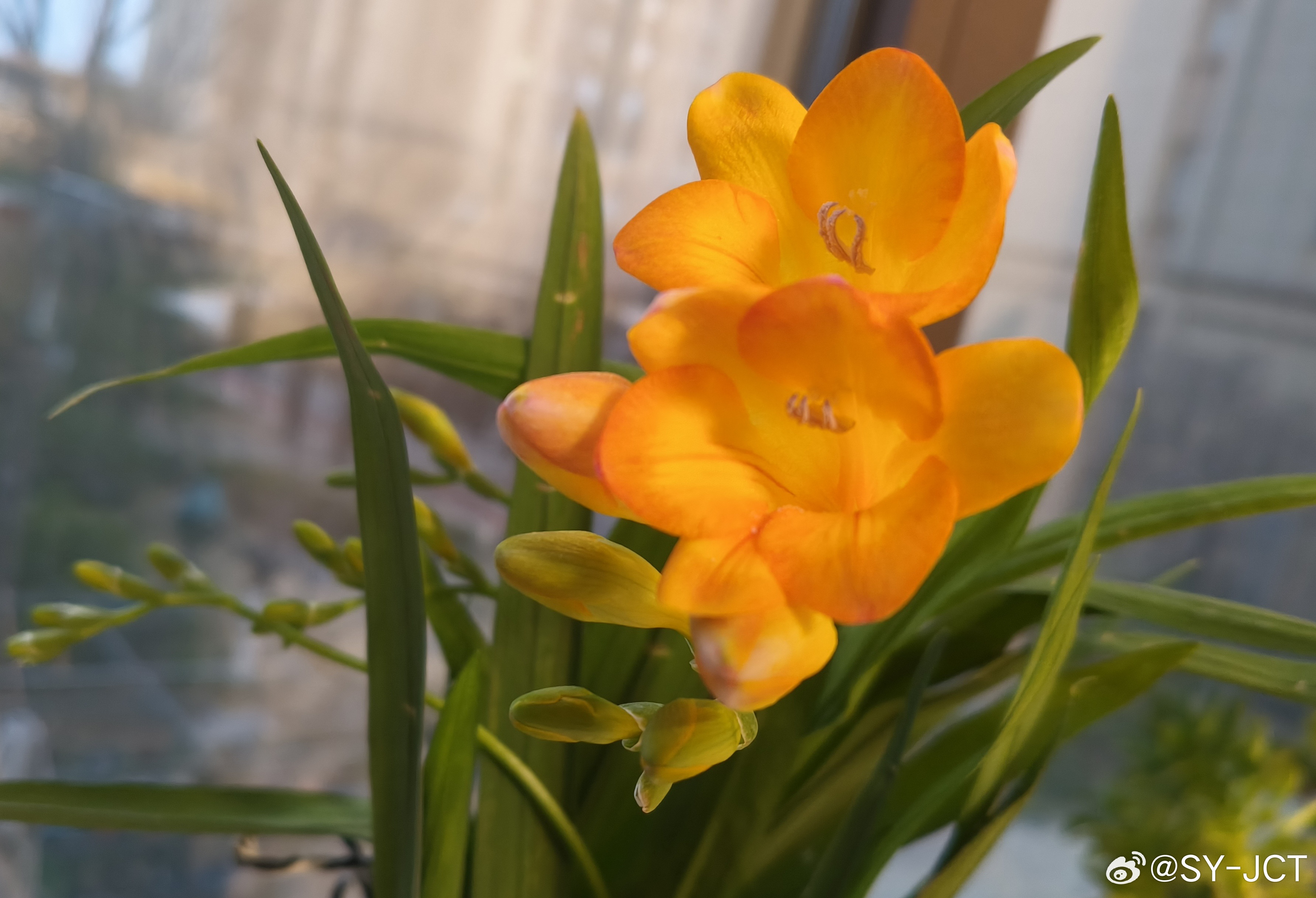 保持阳光心态，积极面对人生。每个人，都沿着不同的轨道在活着，人生是一趟单程车，我