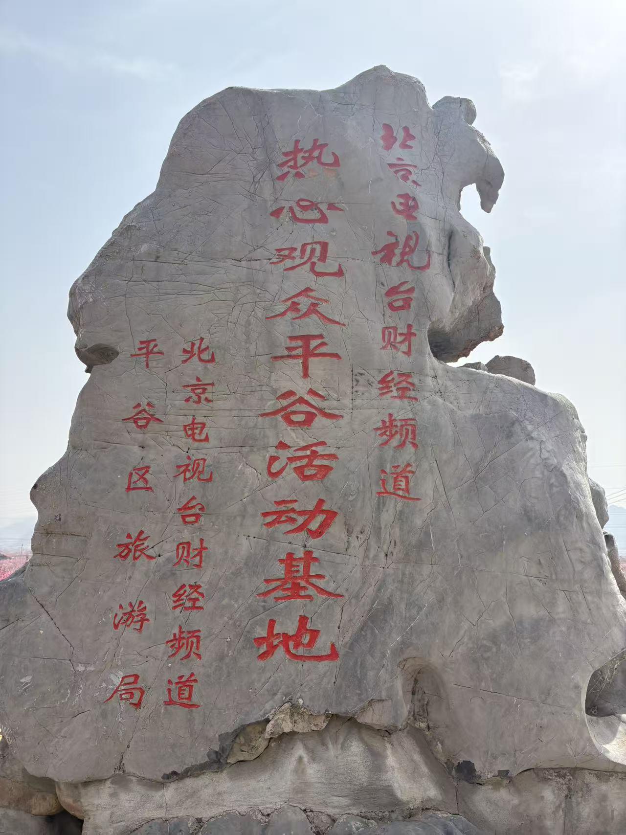 今年春天最想实现的心愿 今年春天，我最想在平谷的桃花园走一走。想象一下，漫山遍野