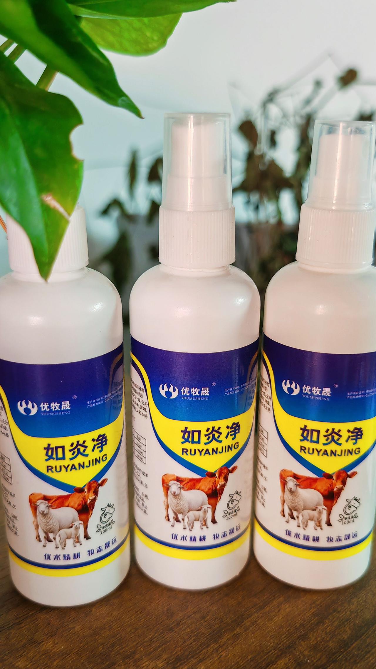 养羊人 牛羊乳房炎 农村养羊 牛羊养殖