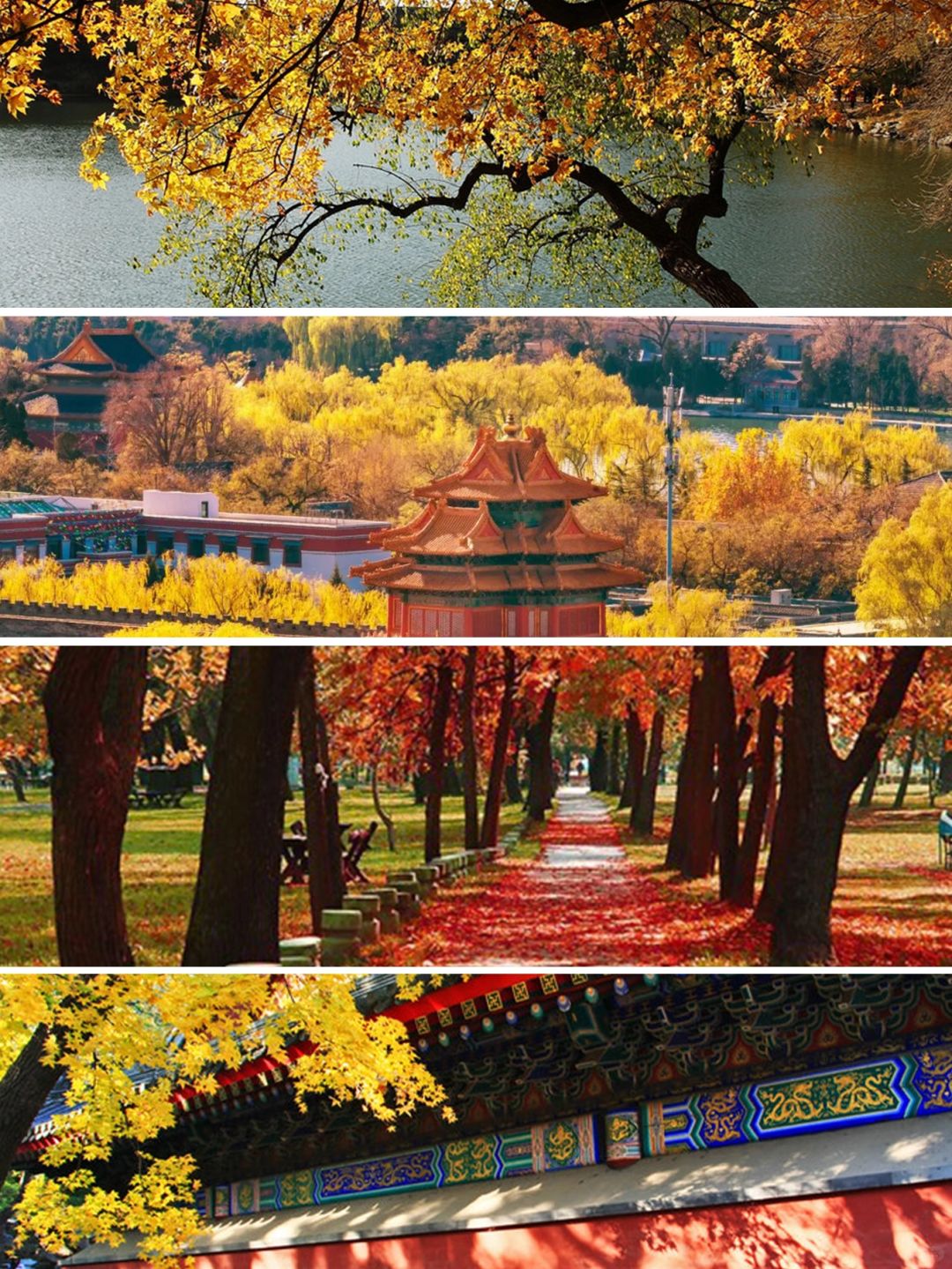 🍂你准备好迎接北京的秋天了嘛？