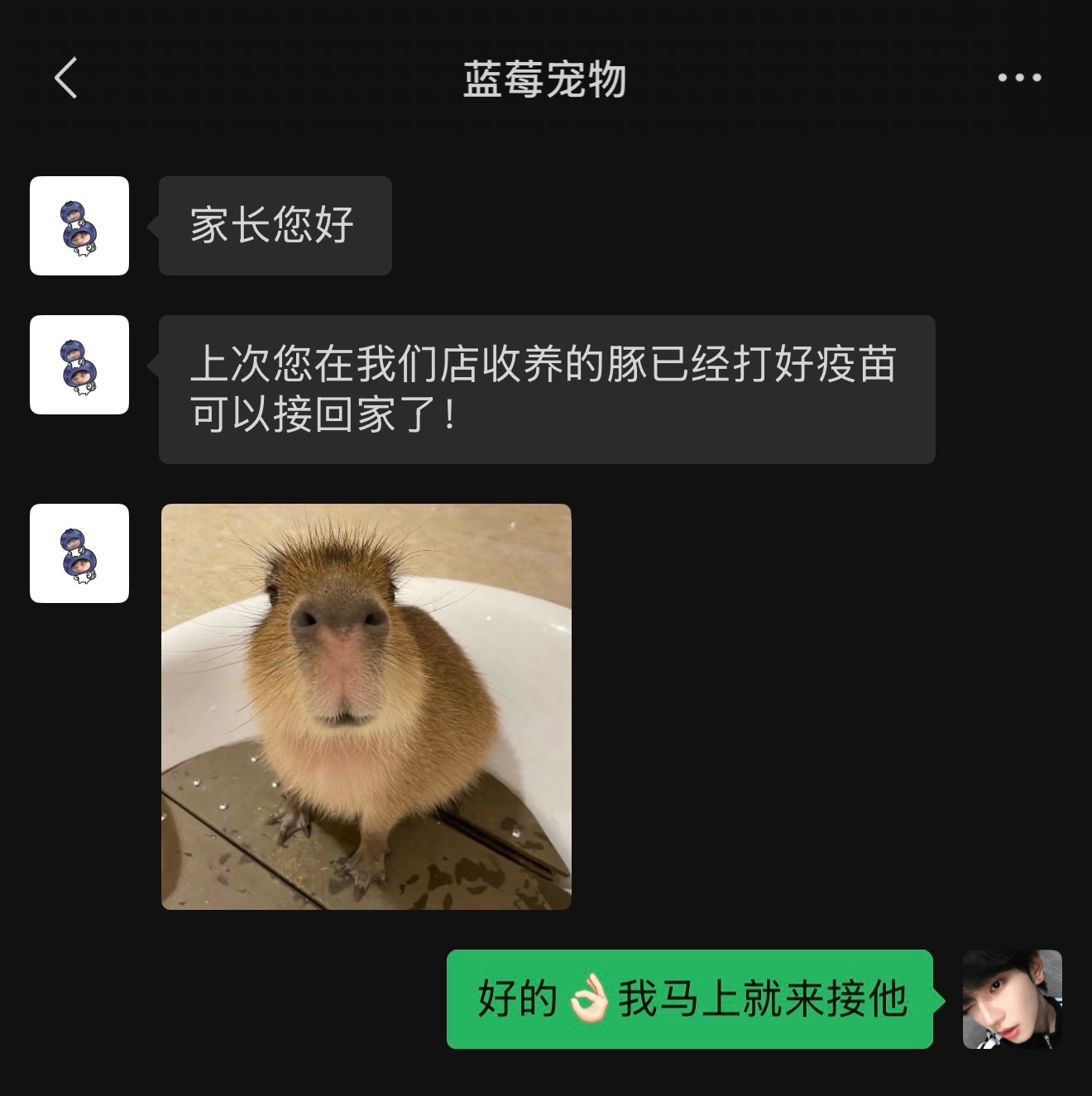 橹穆  🫐 橹穆产出pk地区娱乐赛 📱《你的豚子已就位》01水豚化形橹x无孩