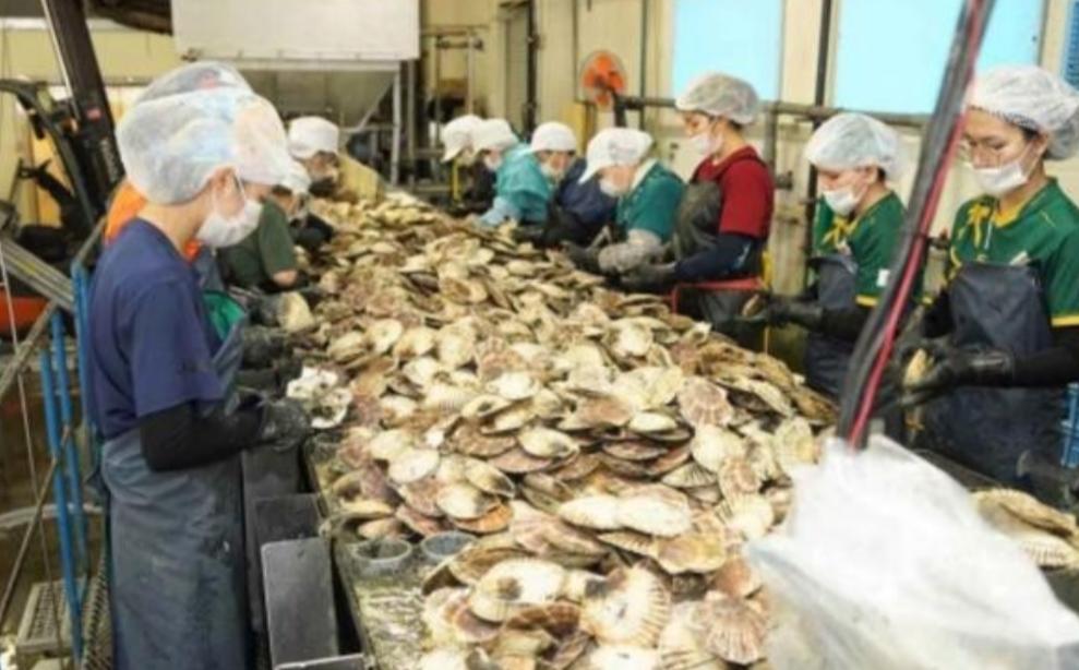 日本排放核水后，奇怪的事发生了：刚开始各国对海鲜避之不及，如今3年过去，核污染水
