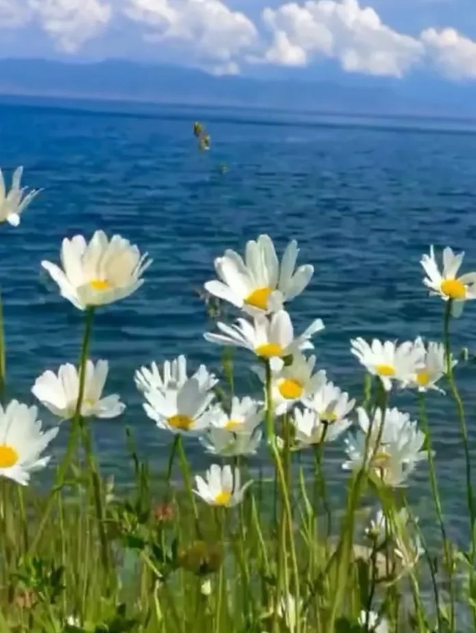 山的那边是什么｜是海🌊