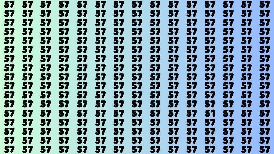 这是一场视觉大挑战！满屏都是 “57”，但有一个 “51” 藏在其中，快用你的眼