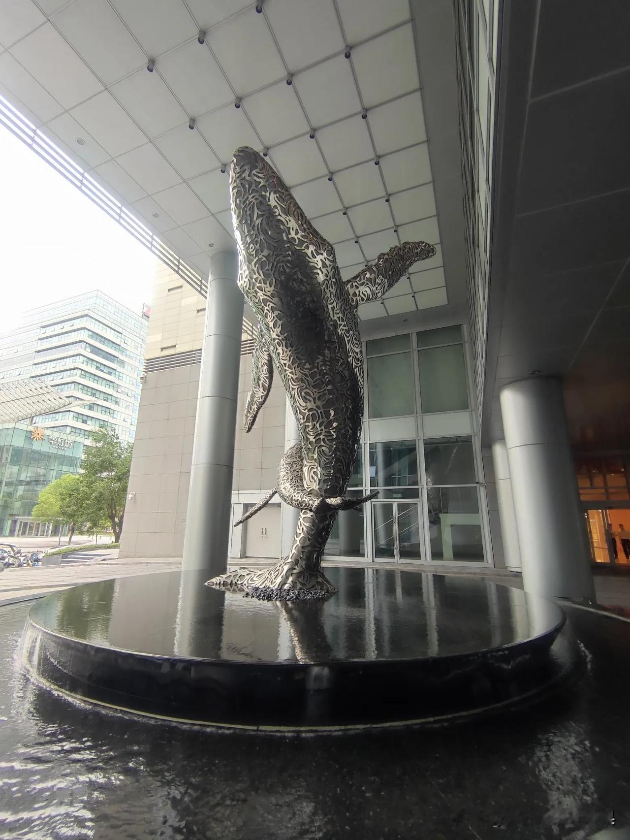 这难道就是大鱼吗

别说，还挺形象的，看到这个，我的脑子里就响起了：大鱼飞远处，